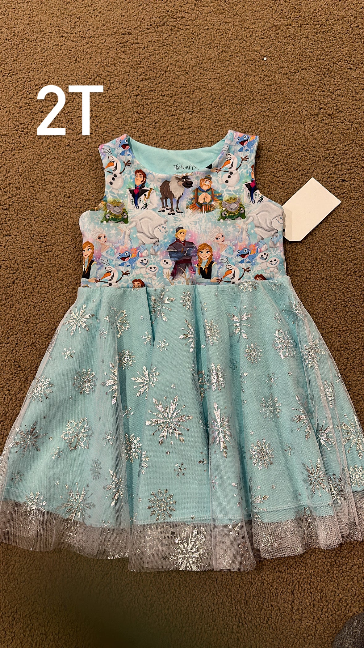 READY TO SHIP SALE | Frozen Snowflake 2T